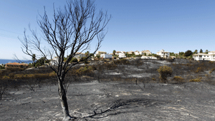 Ver v&iacute;deo  'Los incendios de Madremanya y Estepona est&aacute;n controlados y los vecinos vuelven a sus casas'