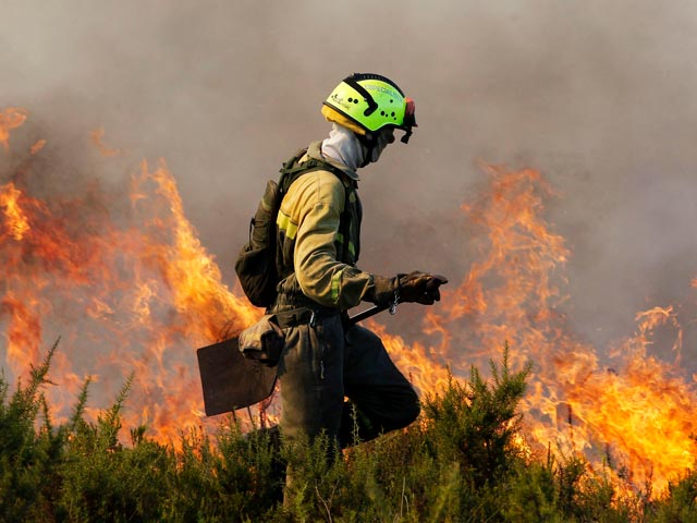 El fuego arrasa 1.000 hect&aacute;reas de bosque en Murcia