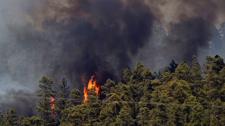 Incendio en la Palma y Tenerife, el fuego amenaza al Parque Nacional del Teide