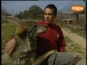 Ver v&iacute;deo  'Informe semanal - Aullando con lobos'