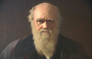 Ver v&iacute;deo  'Informe semanal - La evoluci&oacute;n de Darwin'
