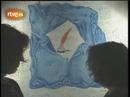 Ir al Video&nbsp;Informe Semanal - &iexcl;Que sean felices!