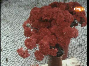 Ver vídeo  'Informe semanal - Tercer aniversario de la "revolución de los claveles" en Portugal'