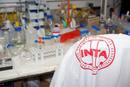 Inta