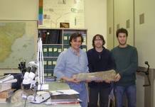 Investigadores del IUCA sostienen uno de los f&oacute;siles de f&eacute;mur hallados en los Pirineos