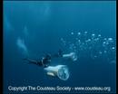 Ir al Video&nbsp;Inventos y tecnolog&iacute;a del Capit&aacute;n Cousteau