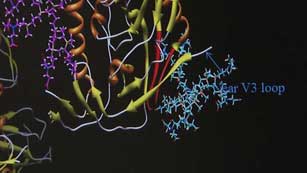 Ver v&iacute;deo  'Investigan un gel que podr&iacute;a evitar la infecci&oacute;n del virus del SIDA'