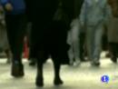 Ir al Video&nbsp;Ir&aacute;n niega un supuesta trama terrorista para asesinar al embajador de Arabia Saud&iacute; en Washington
