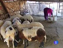Ir al Video&nbsp;Israel ordena demoler un proyecto de la cooperaci&oacute;n espa&ntilde;ola en Cisjordania