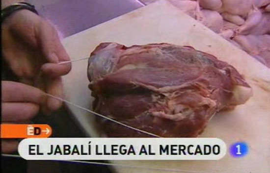 Espa&ntilde;a Directo - El jabal&iacute; llega al mercado