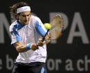 El tenista espa&ntilde;ol David Ferrer le devuelve la bola a su rival estadounidense James Blake.