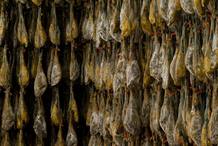 Los jamones ib&eacute;ricos han de consumirse antes de los 5 a&ntilde;os desde que se producen