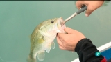 Video: Jara y sedal - La pesca con dos blackmasters