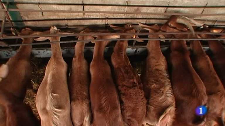 Repor - El jornal de las subvenciones