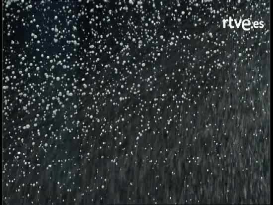 Jos&eacute; Mota - Nochevieja 07 - Si t&uacute; lees...