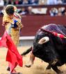 El diestro Jos&eacute; Tom&aacute;s, da un pase con la muleta a su primer astado al que cort&oacute; dos orejas.