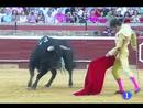 Ir al Video&nbsp;Jos&eacute; Tom&aacute;s estuvo a la altura de las expectativas en Huelva