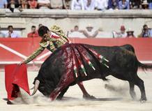 Jos&eacute; Tom&aacute;s torea un morlaco de El Pilar en N&icirc;mes
