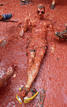 Un j&oacute;ven tumbado en el suelo tras la tradicional Tomatina