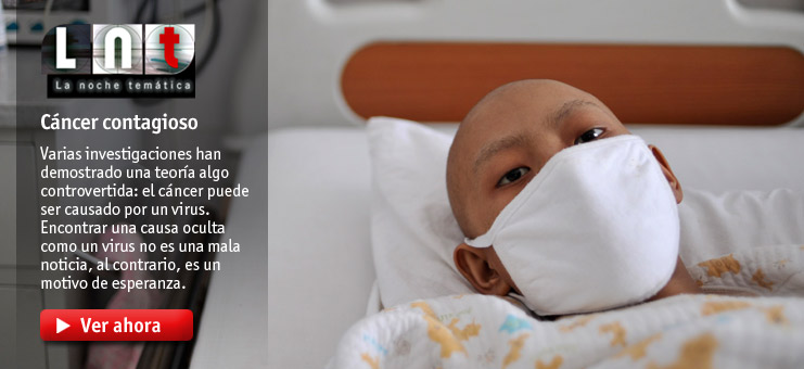 Imagen La noche tem&aacute;tica - C&aacute;ncer contagioso