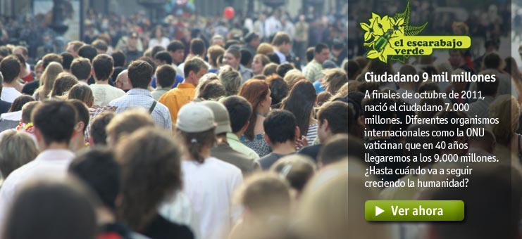 Imagen El escarabajo verde - Ciudadano 9 mil millones