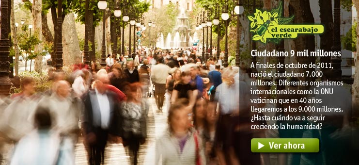 Imagen El escarabajo verde - Ciudadano 9 mil millones