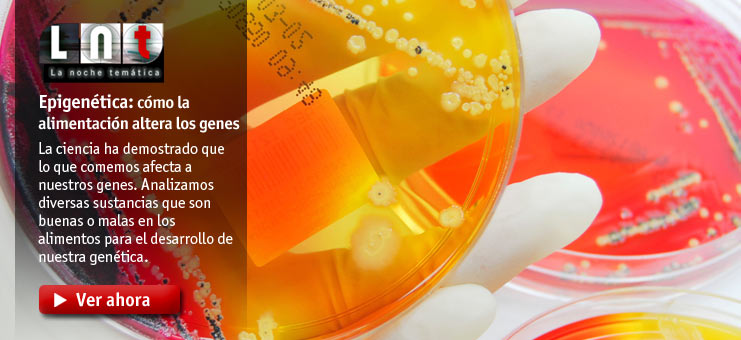 Imagen La noche tem&aacute;tica - Epigen&eacute;tica: c&oacute;mo la alimentaci&oacute;n altera nuestros genes