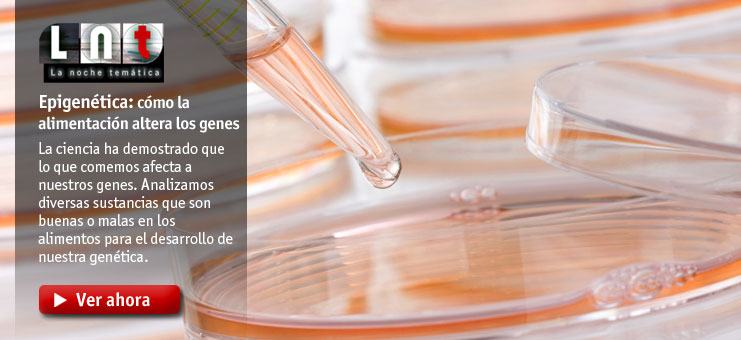 Imagen La noche tem&aacute;tica - Epigen&eacute;tica: c&oacute;mo la alimentaci&oacute;n altera nuestros genes