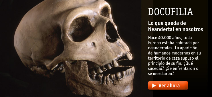 Imagen Docufilia - Lo que queda de Neandertal en nosotros