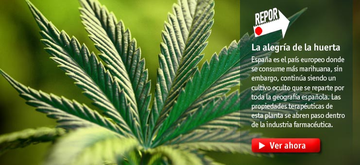 Imagen Repor - La alegr&iacute;a de la huerta