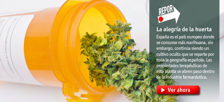 Imagen Repor - La alegr&iacute;a de la huerta