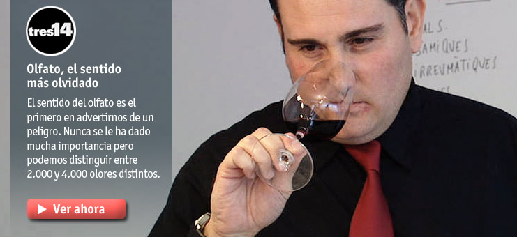 Imagen tres14 - Olfato