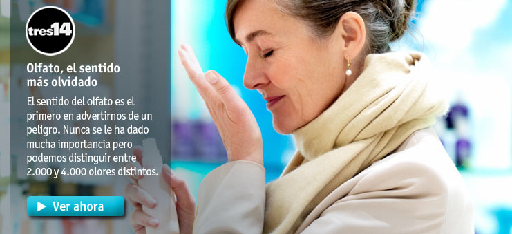 Imagen tres14 - Olfato