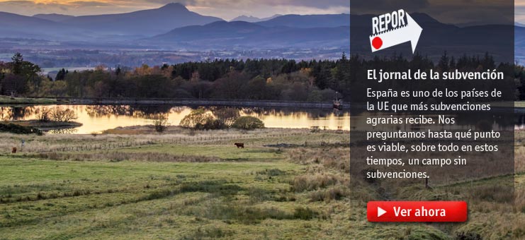 Imagen Repor - El jornal de las subvenciones