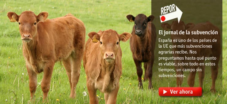 Imagen Repor - El jornal de las subvenciones