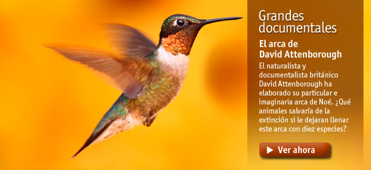Imagen Grandes documentales - El arca de David Attenborough