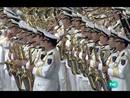 Ir al Video&nbsp;Juegos Paral&iacute;mpicos. Ceremonia de Clausura