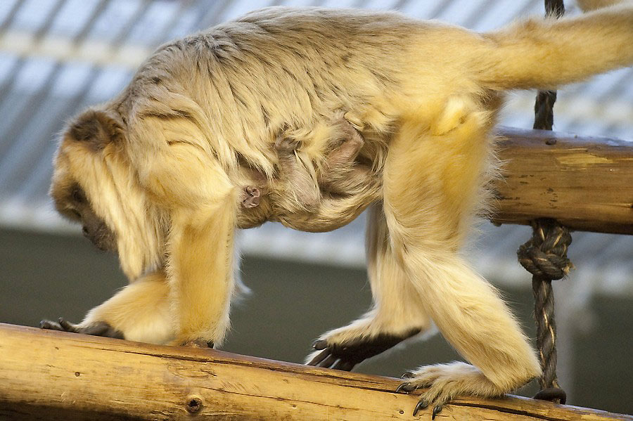 Jugando al escondite...