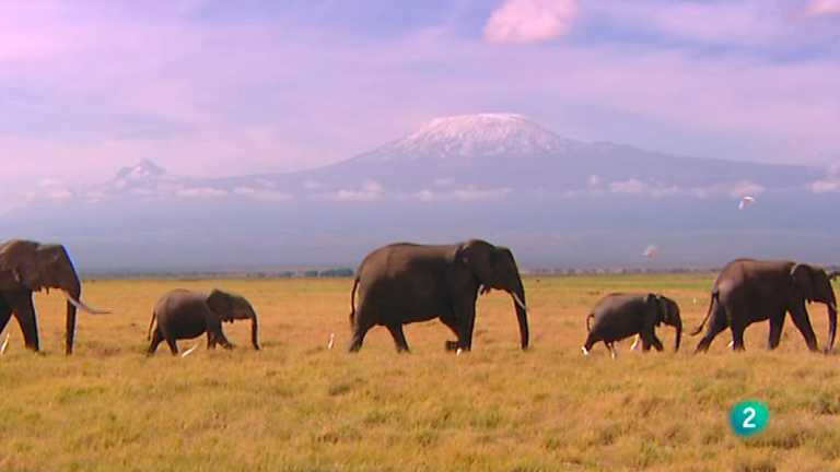 Para&iacute;sos cercanos - Kenia, la cima africana