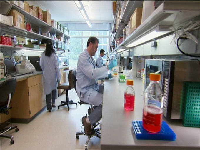 laboratorio-investigacin