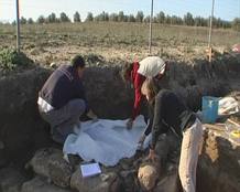 En C&aacute;stulo, Ja&eacute;n, cubren las piezas encontradas para protegerlas y extraerlas