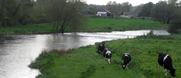 Lakeland y este de Irlanda