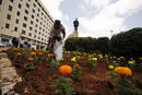 Lebanons Hezbollah activists plant flowers at site where opposition had maintained protest encampment in downtown Beirut
