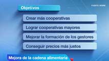 Ir al Video&nbsp;La ley de la cadena alimentaria busca eliminar "pr&aacute;cticas abusivas" y proteger a los productores