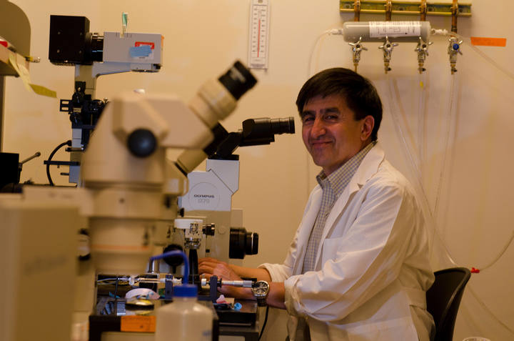 El l&iacute;der de la investigaci&oacute;n, Shoukhrat Mitalipov.