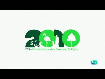 Biodiario - Lince: precioso, &uacute;nico y sobre todo, amenazado