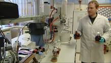 Llevamos varios productos a ser analizados en un laboratorio del CSIC Llevamos varios productos a ser analizados en un laboratorio del CSIC