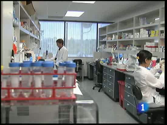 Cient&iacute;ficos estadounidenses consiguen dar vida a una c&eacute;lula con material gen&eacute;tico artificial