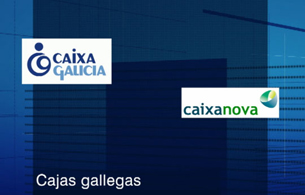 Ver v&iacute;deo  'Los Consejos de Administraci&oacute;n de CajaSol y Caja Guadalajara han aprobado hoy los t&eacute;rminos de su fusi&oacute;n'