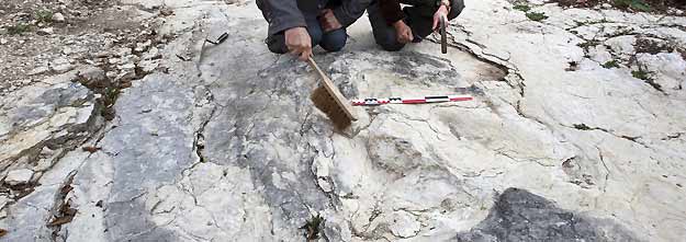 Los paleont&oacute;logos junto a las huellas de dinosaurio encontradas en Plagne, Francia
